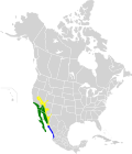 Calypte costae map.svg