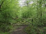 Gate into Hoddesdon Park Wood - geograph.org.uk - 787144.jpg