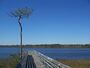 Pensacola FL Tarkiln Bayou SP Claire bdwlk06.jpg