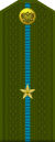Russia-AirBorne-OF-1a-1994-field.svg