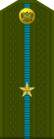 Russia-AirBorne-OF-1a-1994-field.svg