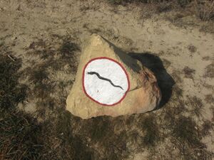 Snakes sign in Gobustan.jpg