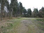 Brickground Wood. - geograph.org.uk - 398993.jpg