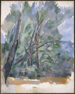 Cézanne - FWN 329.jpg