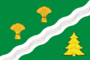Flag of Pervomayskoye (Moscow).png