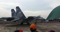 Indonesian Air Force Sukhoi Su-27SKM Flanker at Halim Perdanakusuma International Airport.jpg