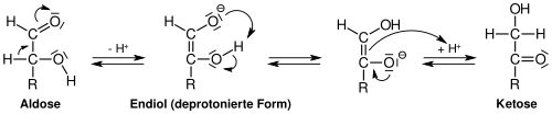 LobrydeBruyn vanEkenstein.svg