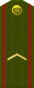 Russia-Army-OR-2-1994-field.svg