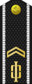 Russia-Navy-OR-4-1994-everyday.svg