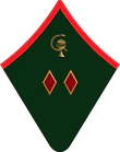 Дивврач шинель.png