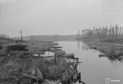 Kollasjogi Suuren Ižänmuallizen voinan aigah, 6. kylmykuudu vuvvennu 1943
