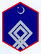 Полковник.1918.png