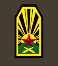 нарукавный знак 1922