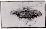 Gogh - f 1523.jpg