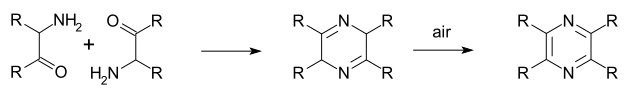 Gutknecht Pyrazine Synthesis.svg