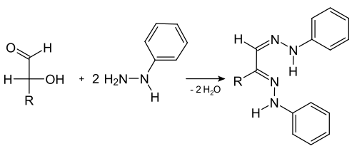 Osazone2.svg