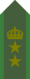 SWE-Army-OF4.png