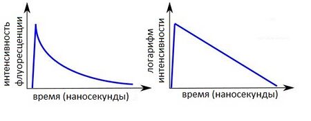 Время жизни флуоресценции.jpg