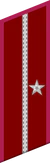 петлица ГБ 1936