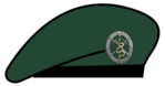 Berete Medikai.png