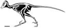 Daurlong skeletal reconstruction.jpg