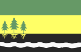 Флаг