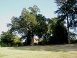 Looking across from the Alpine Meadow to Weather Hill Cottage - geograph.org.uk - 943222.jpg