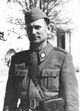 Radovan Vukanović.jpg