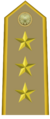 Rank insignia of colonnello of the Italian Army (1945-1972).png