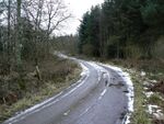 Roadway through Redwells Wood - geograph.org.uk - 1163923.jpg