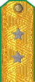погоны 1943