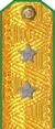 погоны 1943