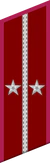 петлица ГБ 1936