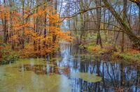 Чернігівський район, с. Халявин. Осінь.jpg