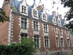 Chateau du plessis-lès-tours.JPG