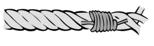 Common-whipping.png