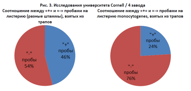 Cornell 2.png