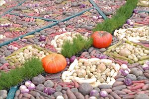 Jardin éphémère (Nancy).jpg