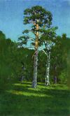 Kuindzhi Pine 1878.jpg