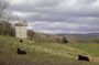 Rusco Castle - geograph.org.uk - 1240081.jpg