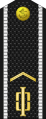 Russia-Navy-OR-2-1994-everyday.svg