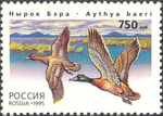 Russia stamp 1995 № 243.jpg