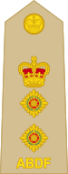 13.RABDF-COL.svg