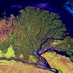 Lena River Delta - Landsat 2000.jpg