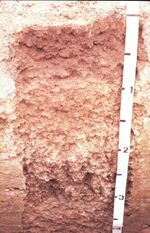 Miami soil