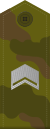 Rus starshina field.svg