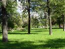 Sankt-Peterburg avgust2013 1450083.JPG