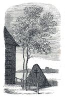 Vorotishin Stone 3.jpg