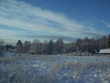 Winter Wonderland Tõnija.JPG