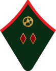 Дивинтендант шинель.png